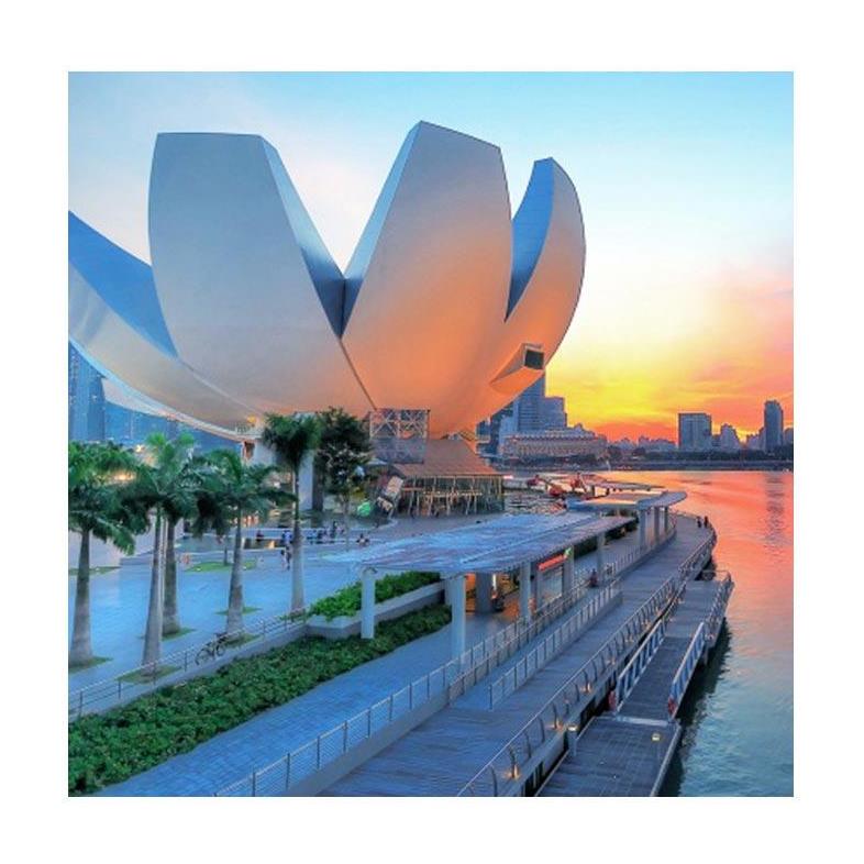 Travel Station - ArtScience Museum Singapore Future World PEAK E-ticket IZUG5TI

invl.io/clg5tdk?bRQBlR…