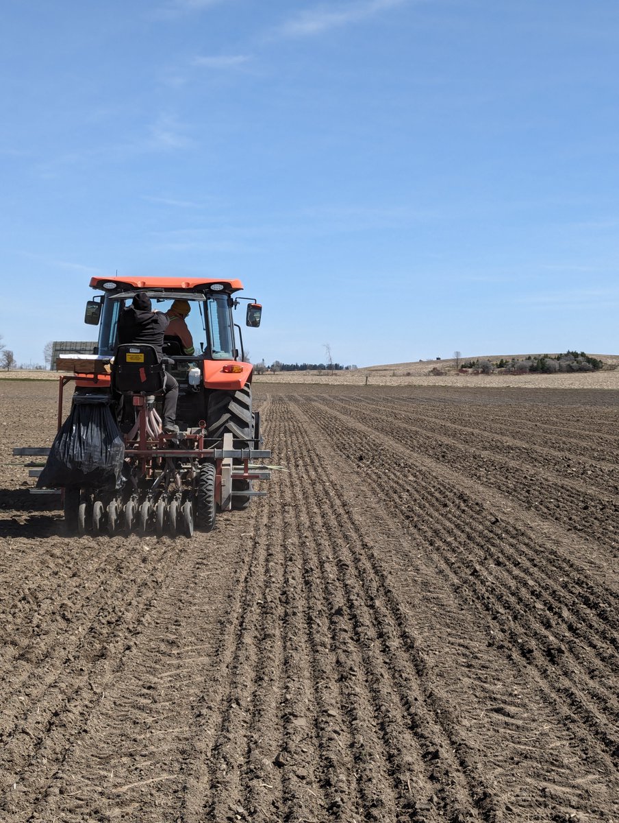 #plant24 #researchstyle is on for the C&MSeeds research team! #springcereals DONE! 💪✅🌾 @thewheatteam