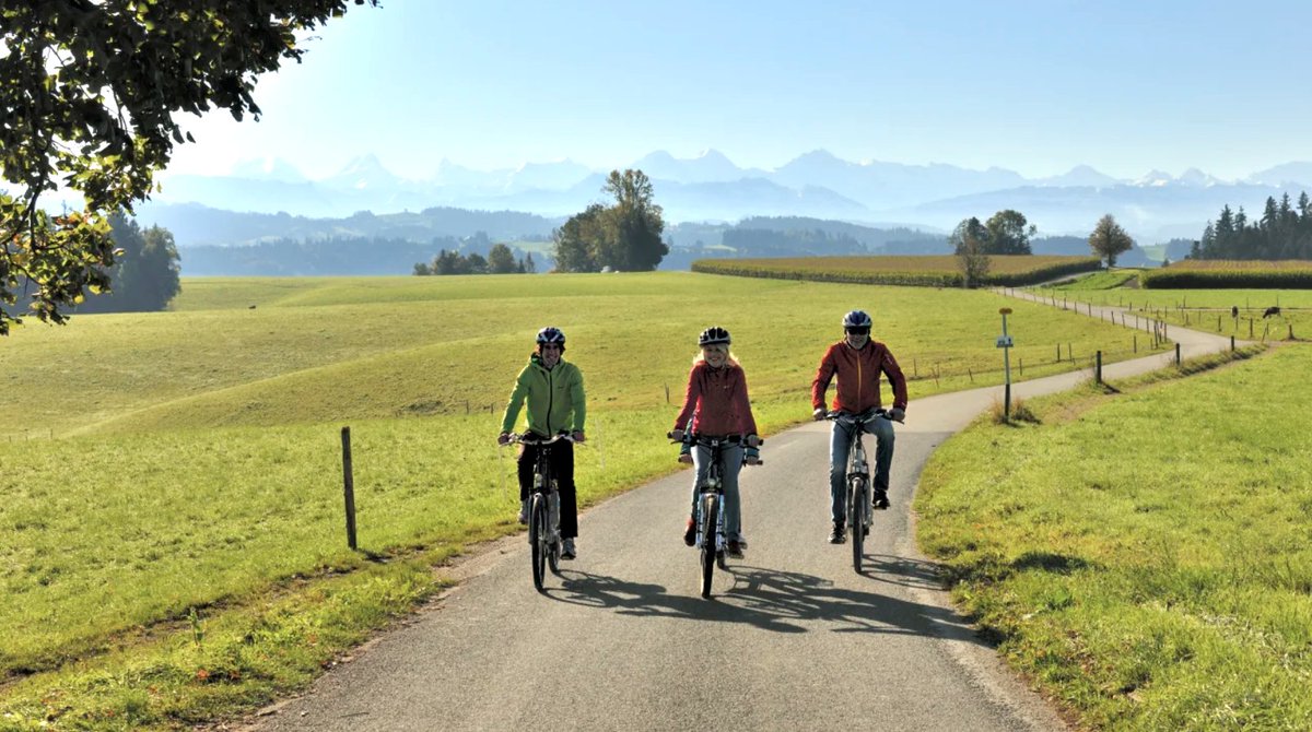 New Study in Switzerland Says Majority of eBikers Use their Cars Less or Get Rid of Them #ebikes #cycling #cargobikes tinyurl.com/5h9v73pe