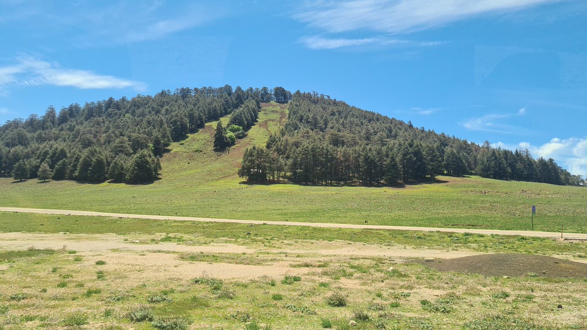 A little late, but day 1 of the  <a href="/BBKNatSci/">Birkbeck School of Natural Sciences</a> undergrad field trip to #Morroco. The #Azrou  Pleistocene volcanic field complete with ski slope.