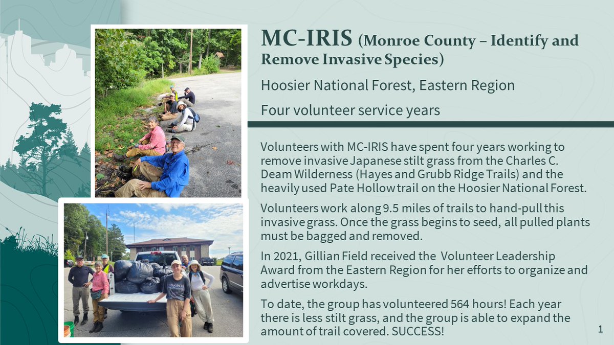 In just 4 years, the MC-IRIS group has spent 564 hours volunteering on the @HoosierNF. They’re working to remove invasive Japanese stilt grass from the Hayes and Grubb Ridge Trails and the heavily used Pate Hollow trail. #NationalVolunteerMonth fs.usda.gov/detail/r9/work…