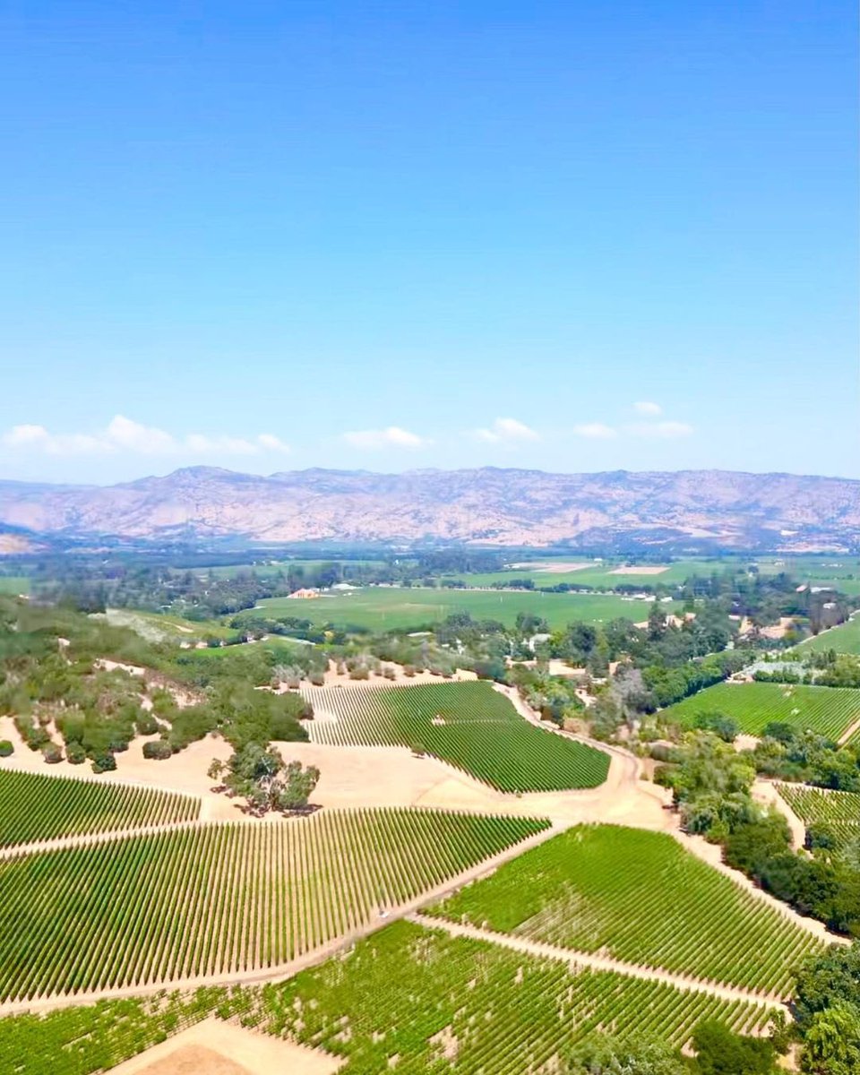 Lost in Napa Valley’s beauty! 🍇☀️🍷 Pics by @WineDesTnations