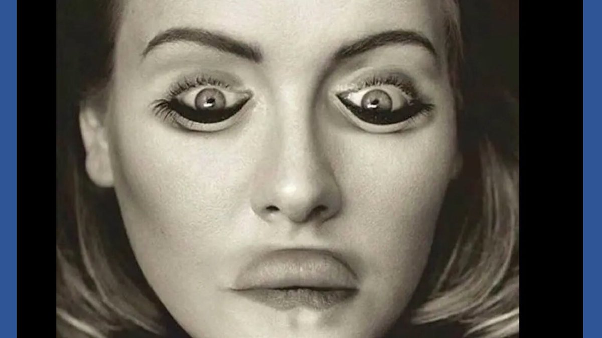 @1gregorross @dibbygibby Turn the image and voila not Adele 😂