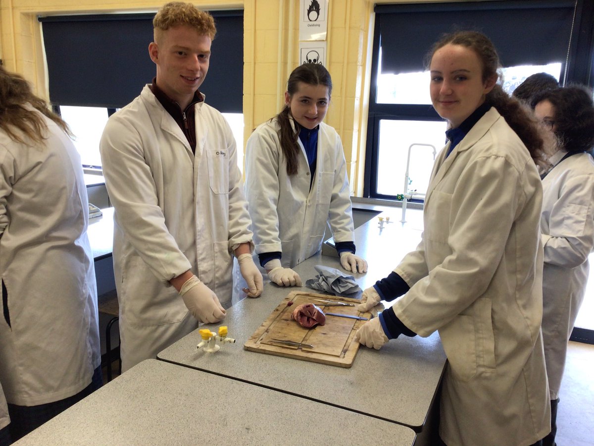 Mr Ryan's 1st Year Science class doing heart dissections today 🫀 👏