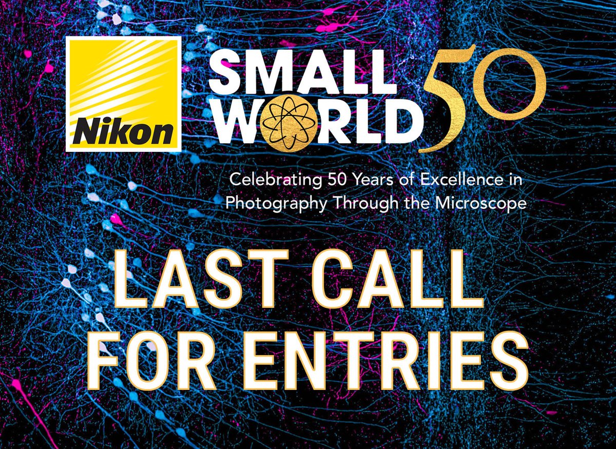 Time is almost up to submit your light #Microscopy images and videos to our #NikonSmallWorld competitions!

Enter here by April 30th for your chance to win up to $5000: enter.nikonsmallworld.com

#Microscope #Imaging #SciArt #SciComm