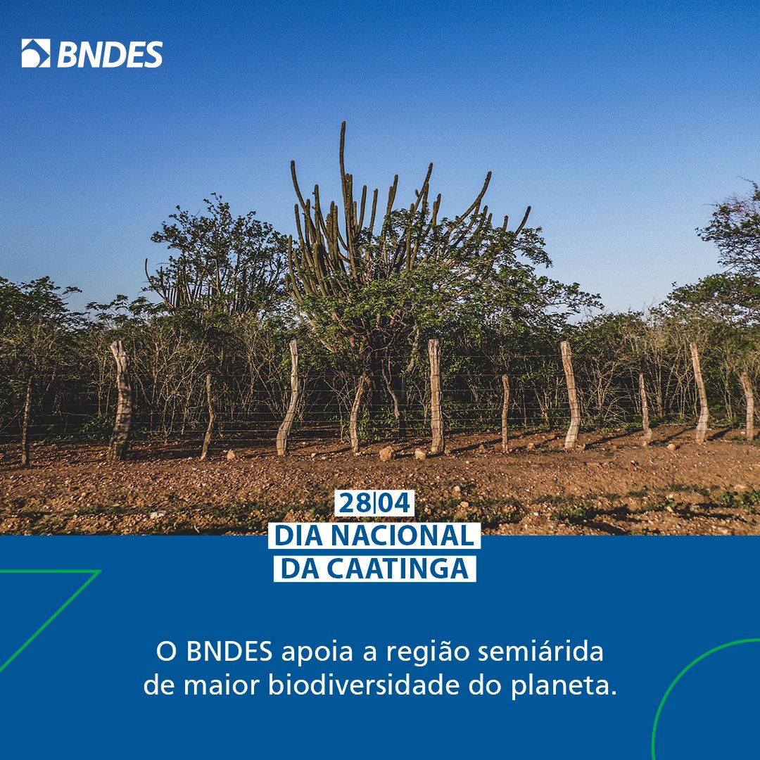 A caatinga é patrimônio nacional! Desde 2010, apoiamos com mais de R$ 2,3 bilhões, entre iniciativas realizadas e em andamento, essa que é a região semiárida mais biodiversa e mais povoada do planeta.