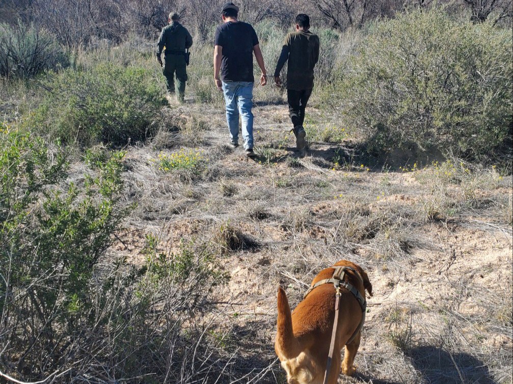 USBPChiefTCA tweet picture