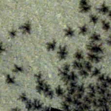 NEWS 🚨: Spider-like features spotted on Mars in new images Scientists say each is actually a gas crack in the surface (Via @ESA)