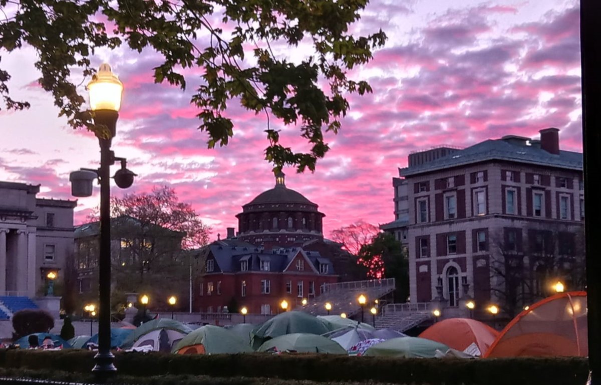 What's happening on campuses of US universities is shocking, and the police violence being directed at students and professors is not just excessive, it's denigrating. Sadly, it was @Columbia that opened the floodgates to this national domino of gloom. 1/9