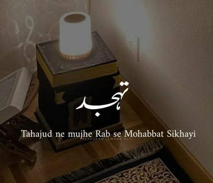 sadaf irfan tweet media