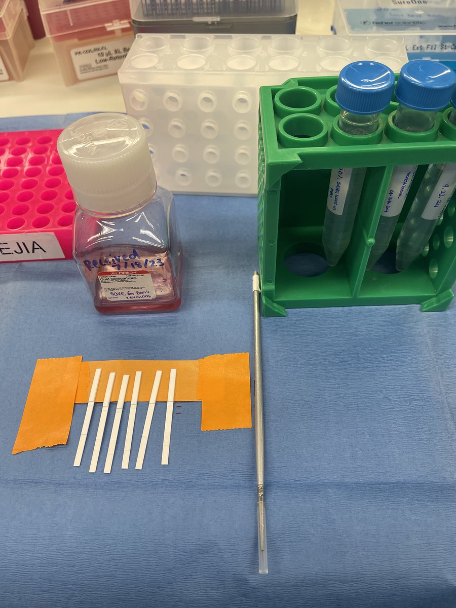 Friday fun day at the Laboratory of Human and Environmental Parasitology. We are developing a point-of-care test for Toxocara, a parasite considered one of the Neglected Parasitic Infections in the USA. This test will detect both the antibody-mediated and innate immune response…