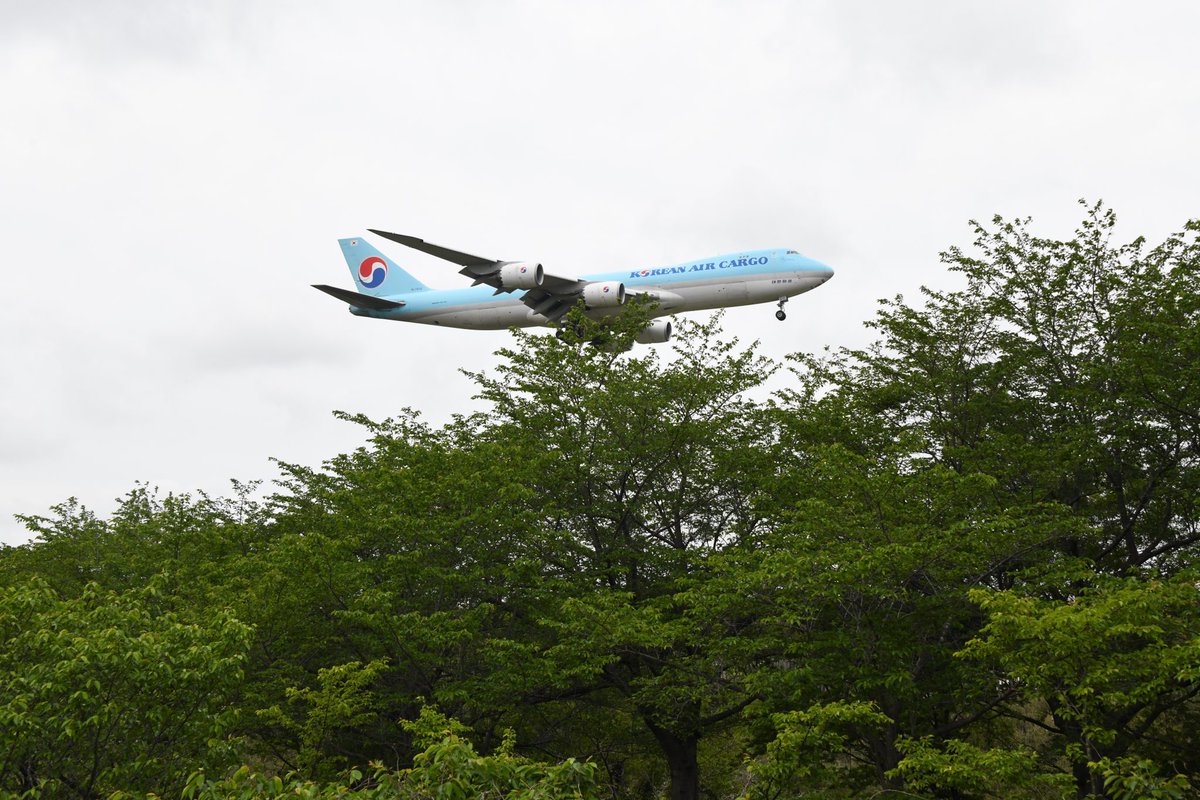 2024/04/26
成田国際空港に着陸する飛行機
成田市さくらの山公園
KOREANAIR CARGO 航空機/ボーイング747/ジャンボ機
