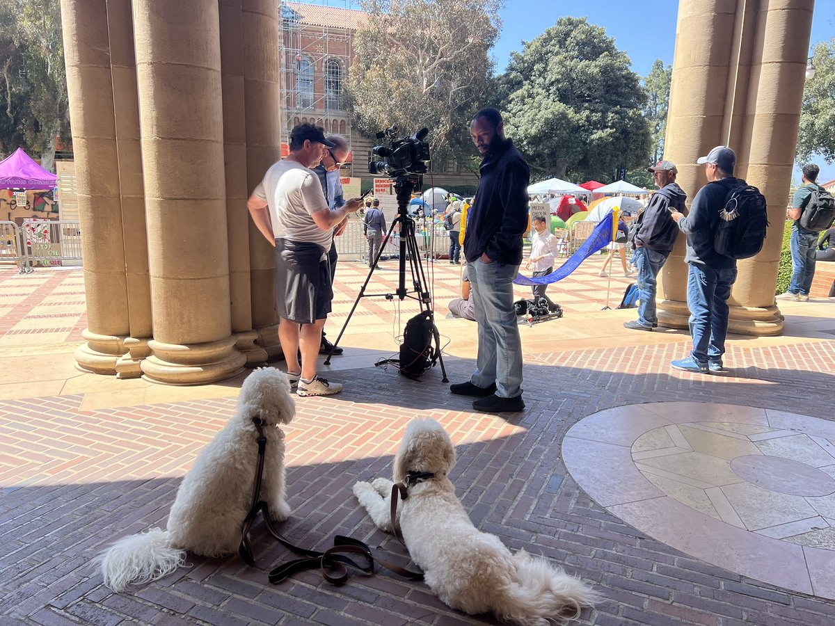 Doggos POV at UCLA protest encampment
