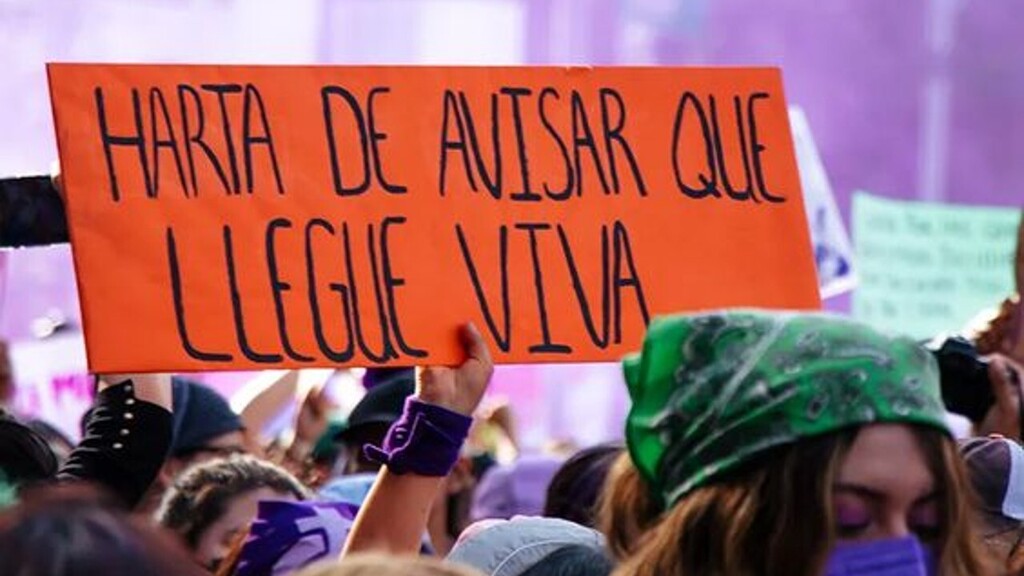 🟪  #feminismo #soyfeminista #igualdad #8Marzo #8M