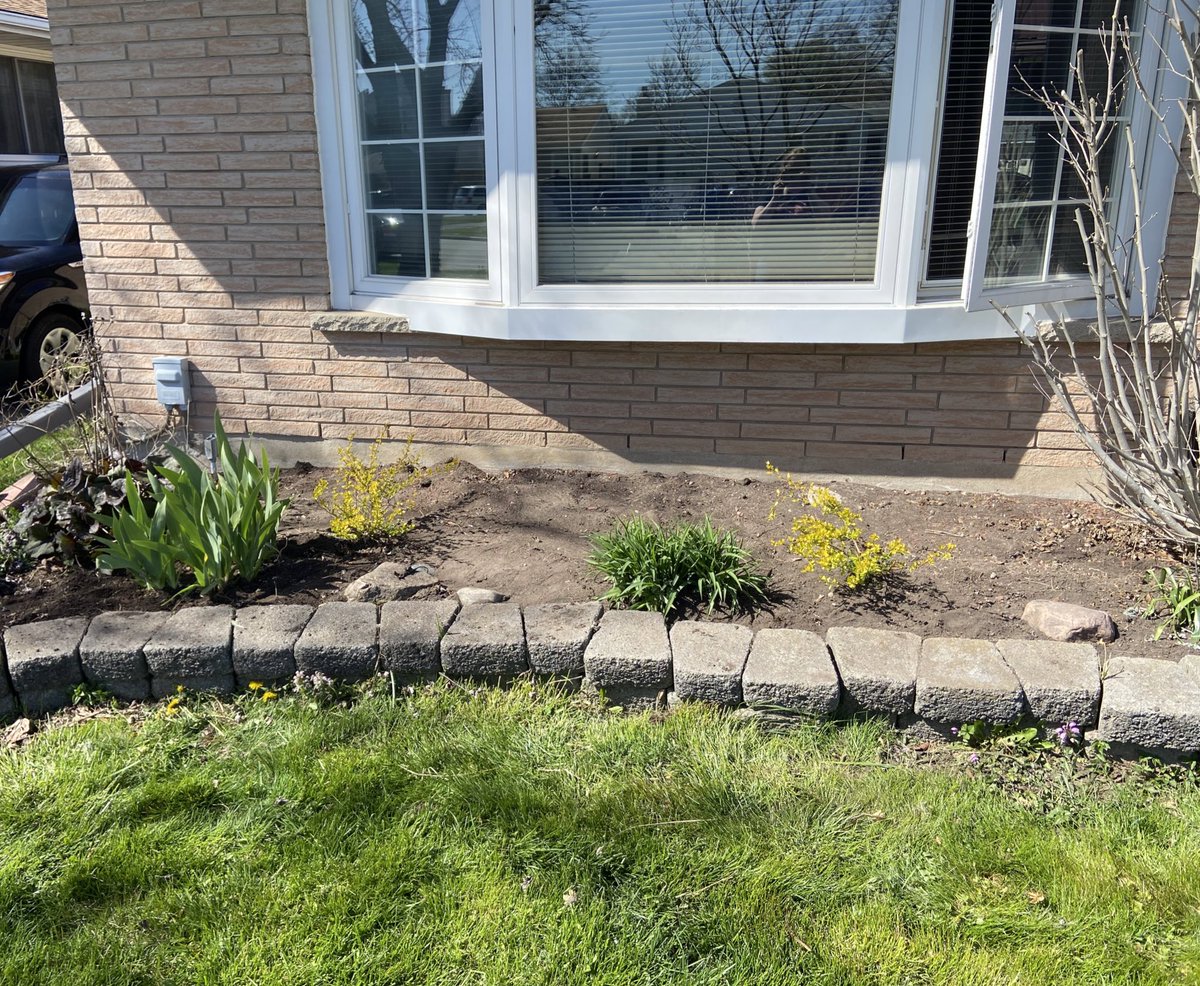 Had a vacation day today, so I got some weeding and deadheading done in my garden 💚 I’m so tired now but it looks sooo much better! 

Still a lot to do yet, but the weeds are (mostly!) gone now. 

Backyard up next…🫠🫠🫠