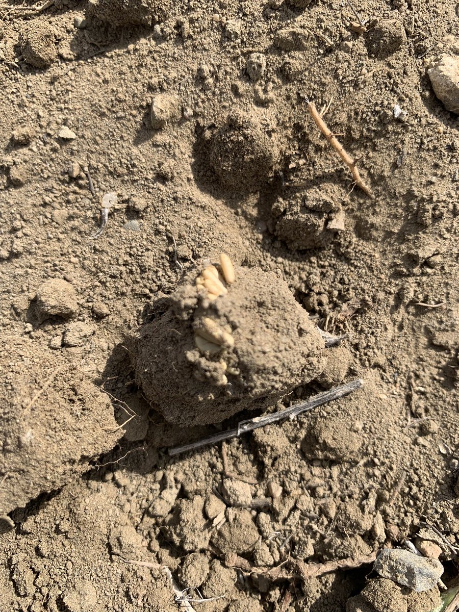 Scott Meers tweet media