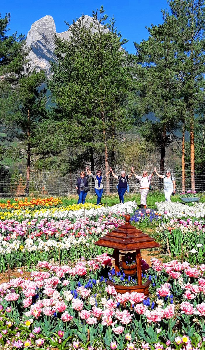 TULIPMANIA - Visita  un immens jardí de flors multicolors en un marc natural únic. Tulipmania és la granja de flors especialistes en tulipes i dàlies a més altitud de Catalunya.
Situada al poble de Saldes al Berguedà, just als peus de la muntanya del Pedraforca.