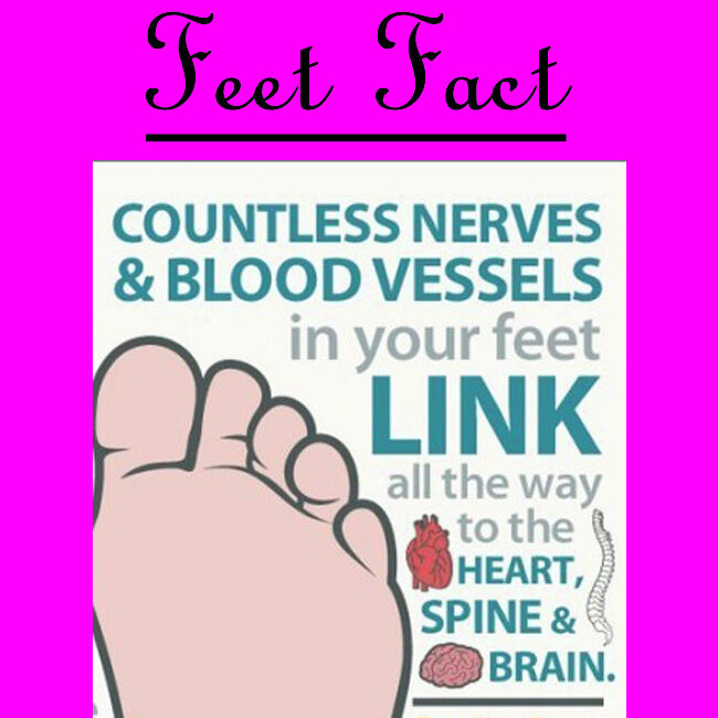 Did you know your feet can affect your heart ?
.
.
.
.
.
#Fitfridays #softsoles #didyouknow #fitfriday #allentexas
#footlover #feethealth #podiatrylife #garlandtx #foothealth #factfriday #texasmodels #wylietx #infographics #foottrample #feetfetishgang #sanantoniomodel #piedi
