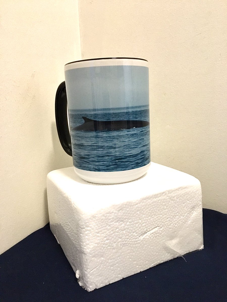 Here is the fin whale mug for Canadians to purchase. It is a 15 oz dishwasher safe mug that looks better in person than in the photo. $40 CAD. For US & others if you go to my site (in bio) you may purchase your own 15 oz white mug w any photo of mine. It’s cheaper this way.