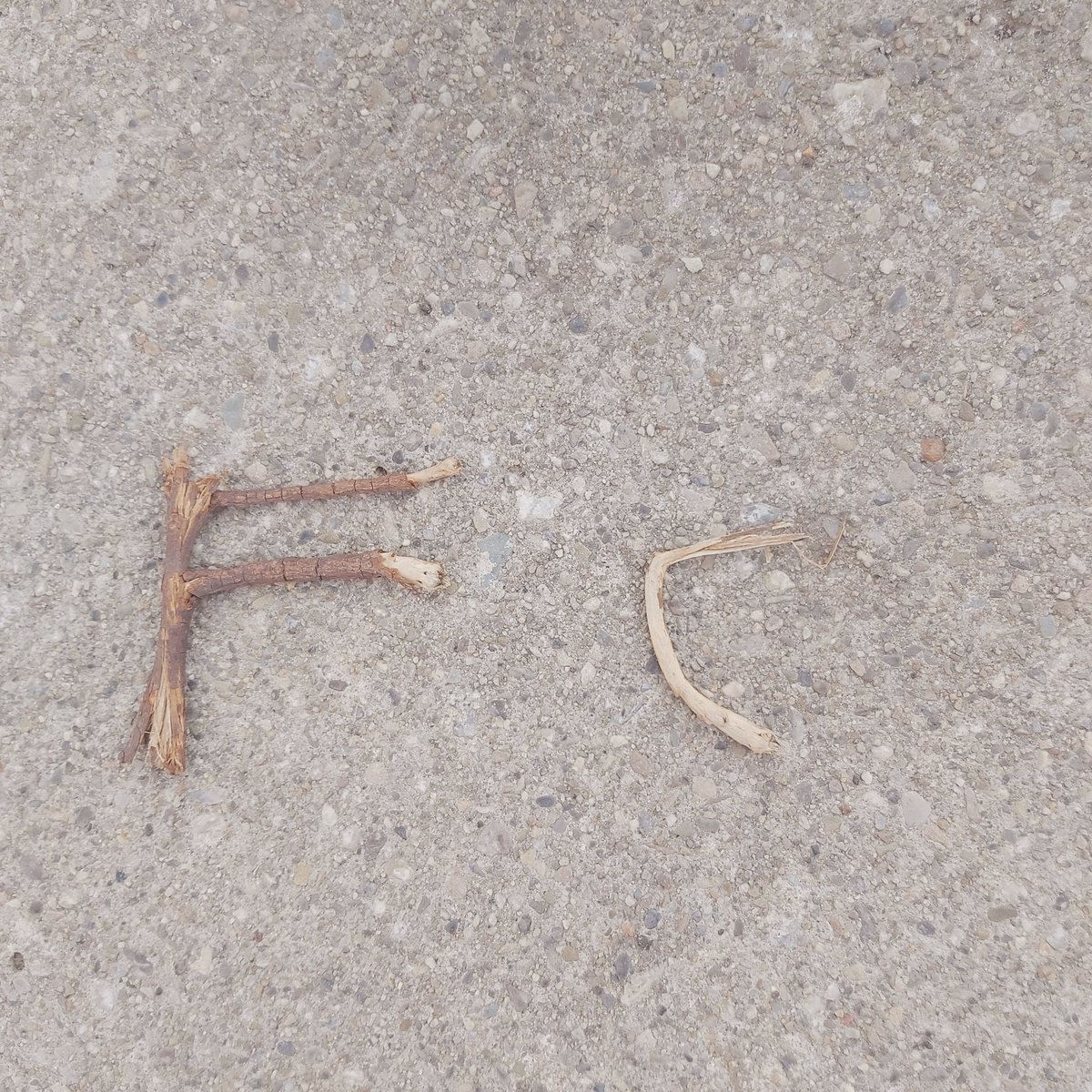 Just found these twigs on the ground. The universe must be trying to tell me something, or maybe it's just the gummies. U decide. 😆