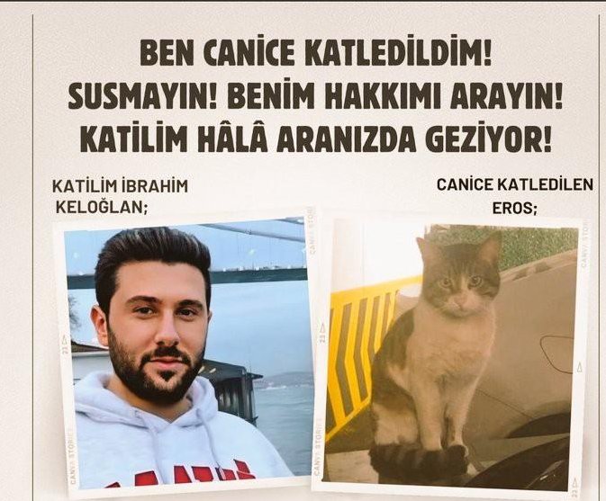 #ibrahimkeloğlantutuklansın Kati hiç unutmadık. #erosiçinadalet