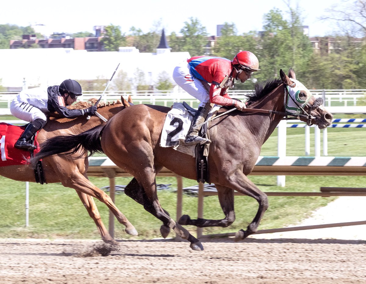 Haint Blue, owned and trained by Hammy Smith, rallies from last under Jaime Rodriguez (double) to win 1 1/16M N2X allowance optional claim $40K (tag) @LaurelPark. SC-bred 4YO filly by Done Talking wins for 3rd time in 16 starts. (Jim McCue 📷)