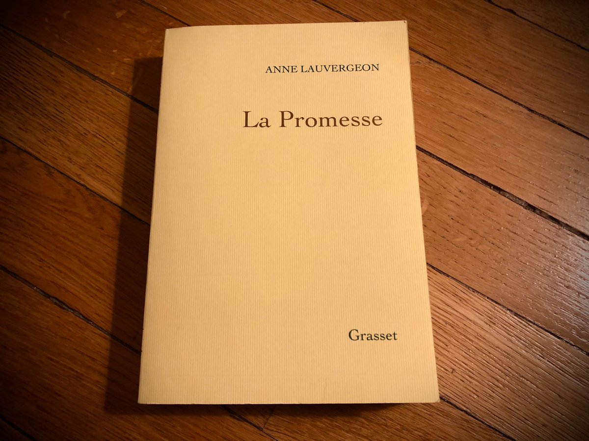 Vrai livre, qui dit une part de l’exercice de l’Etat et de la vie qui s’en va.