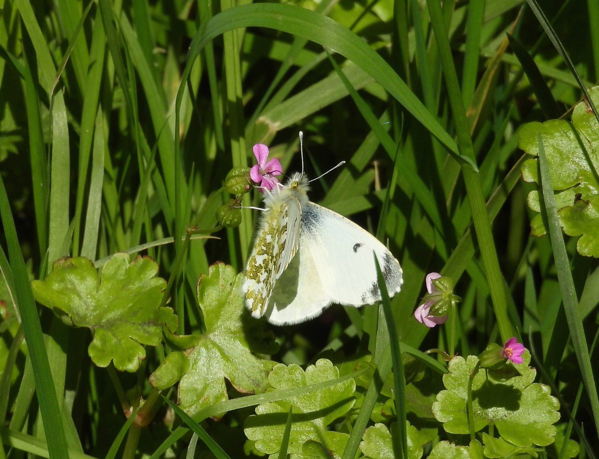 A few more images from Skinflats this afternoon.