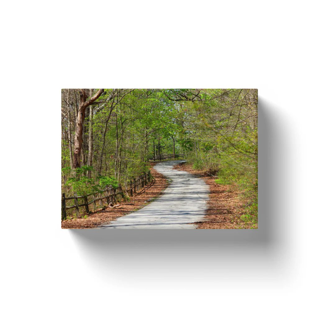 NateHartPrints's tweet image. "Embark on a journey through nature with our 'Nature Path' canvas wraps! 🌿🖼️ #NaturePath #CanvasWraps #HomeDecor"

printsbynatehart.com/collections/la…
