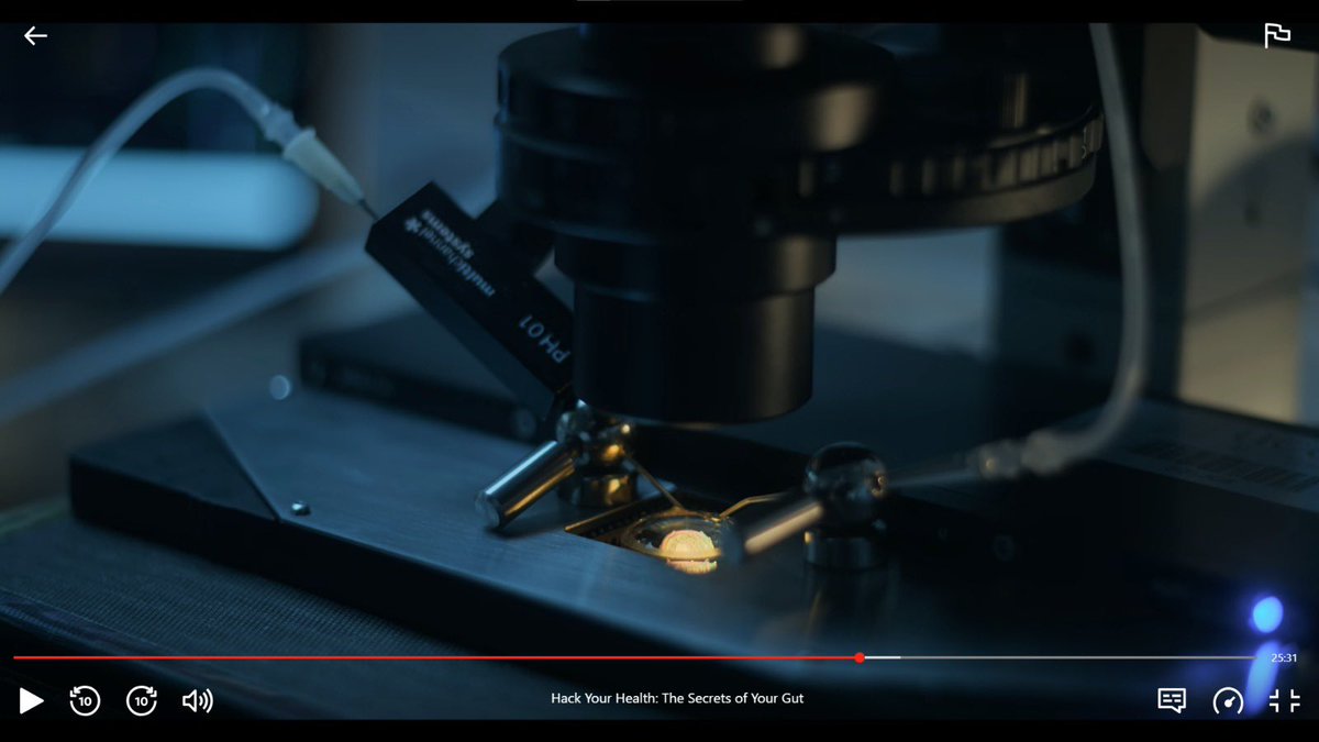 Glad to see #hackyourhealth out @netflix had fun helping @jfcryan and @anjalinayar with the filming. The movie turned out brilliant! @Pharmabiotic @UCCpsychiatry @AnatNeuroUCC and @UCC looks resplendent as always. And @ephosphene the ephys equipment is famous! @SmartEphys