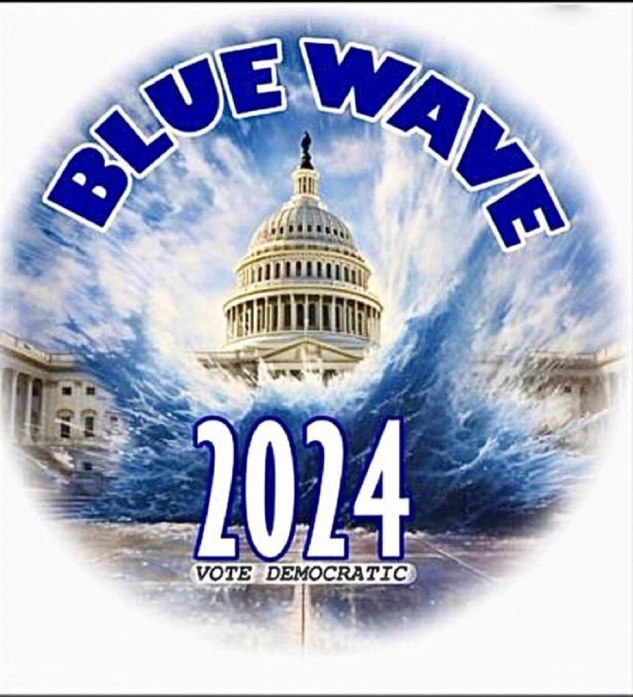 A prayer commonly used in AA: “God grant me the serenity to accept the things I cannot change - courage to change the things I can - and wisdom to know the difference.” We still control the ultimate weapon; the VOTE. Wield it! #DemVoice1 #BlueWave