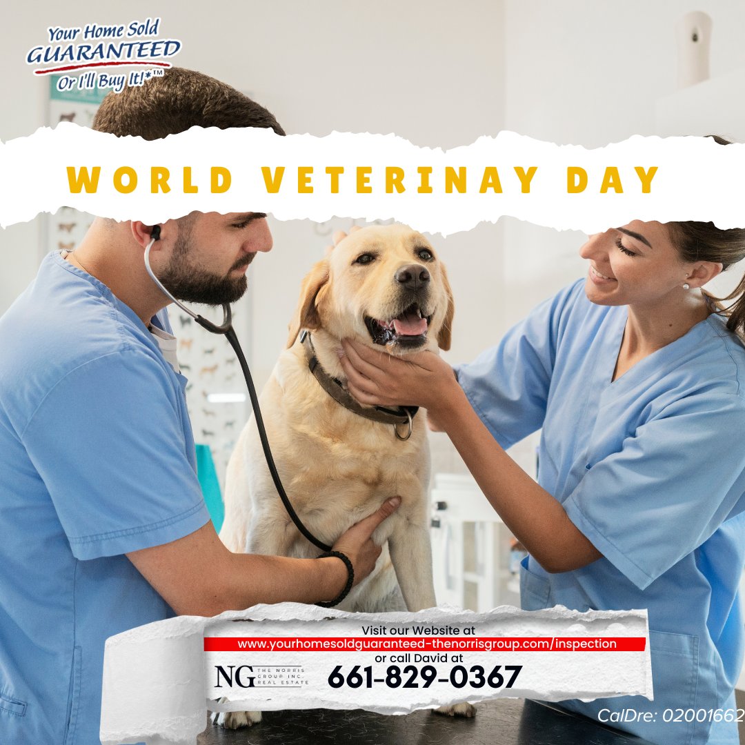 🌍🐾 On #WorldVeterinaryDay, we celebrate the dedicated professionals who keep our furry friends healthy and happy! Let's honor their compassion and expertise in caring for animals worldwide. #VeterinaryCare #AnimalHealth #Gratitude
