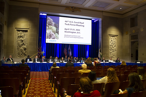 Today is Business Meeting Day! Presentations and panels on pressing #CoralReef issues, updates from our working groups, and a public comment session are on the agenda. Open to all at @NOAAs auditorium! @interior #USCoralTaskForce coralreef.gov