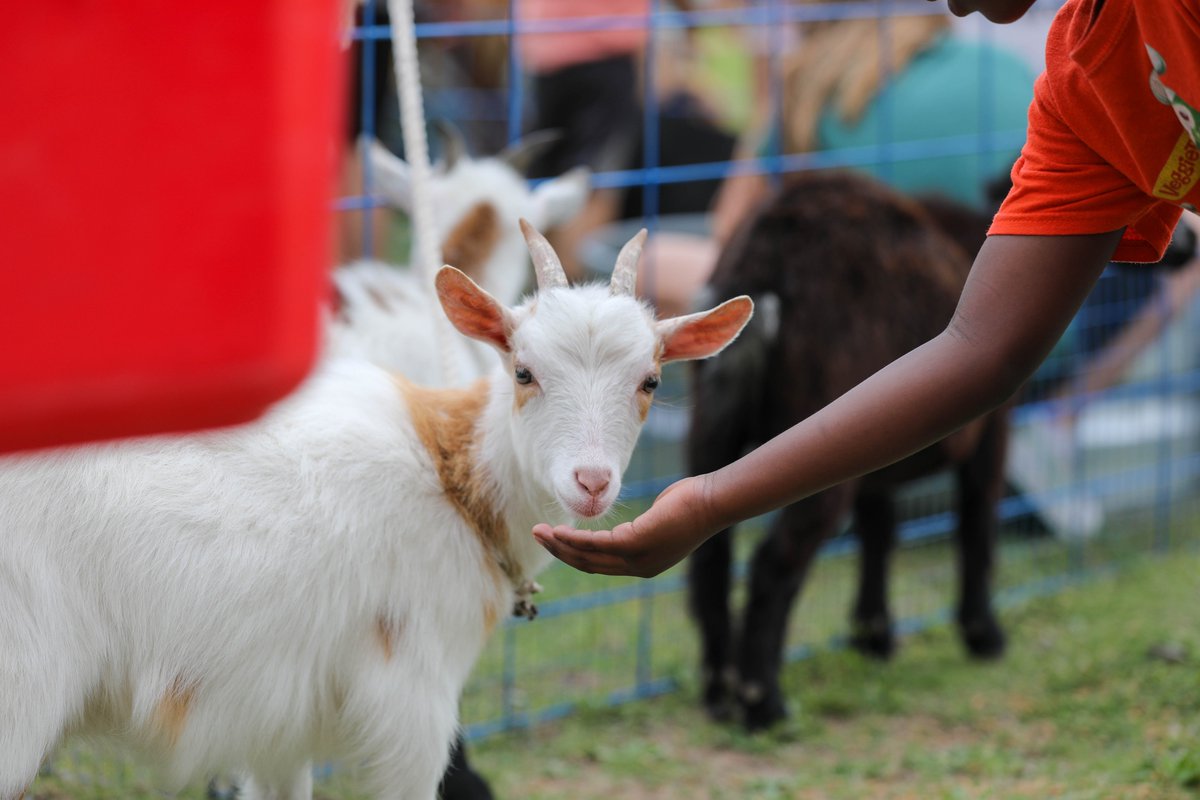 Northwest ISD tweet media