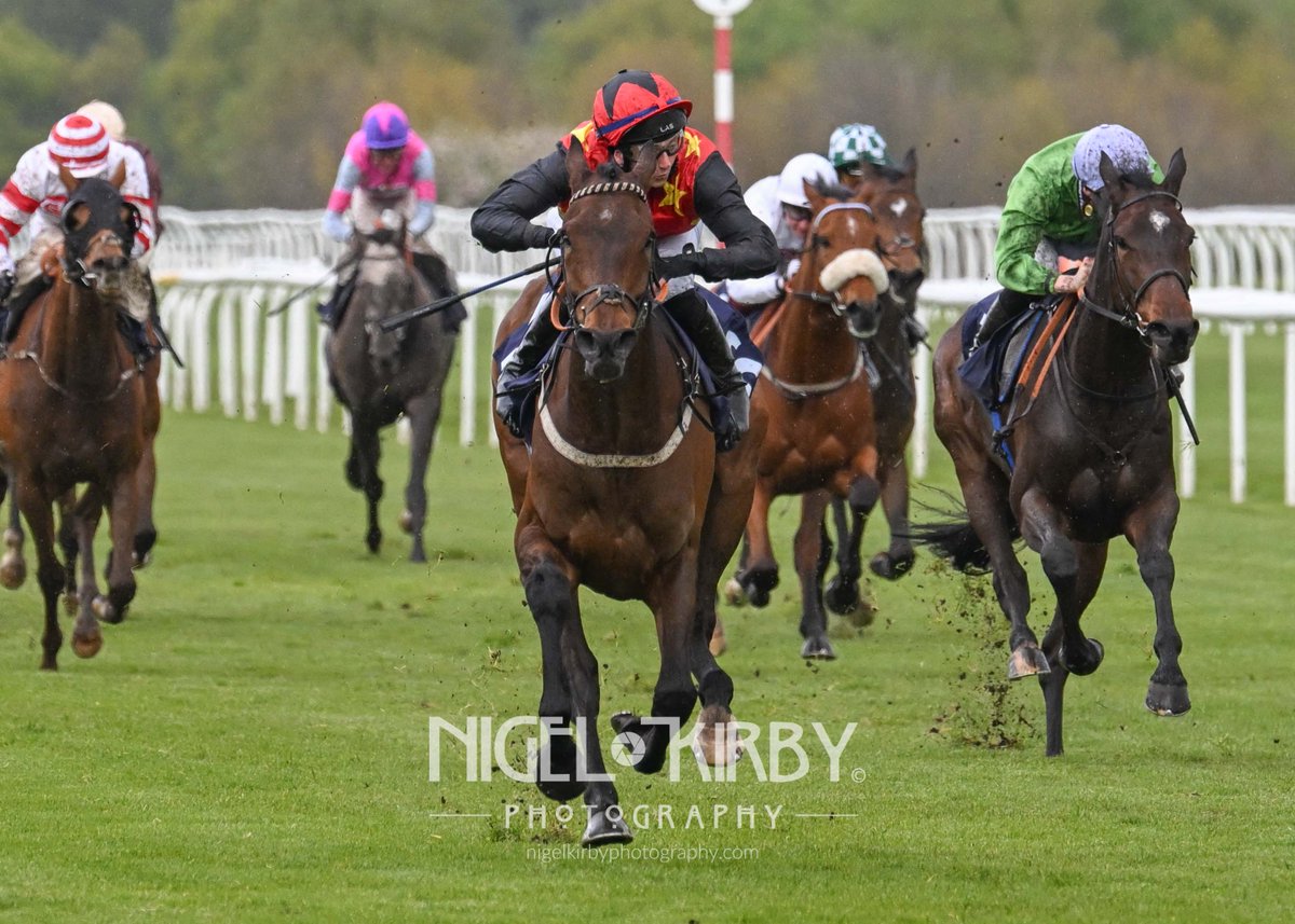 All images from today's racing at @DoncasterRaces are now available online at nigelkirbyphotography.com/Horse-Racing/D…