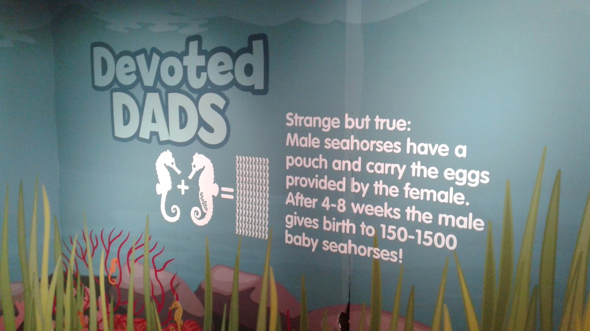 I saw much that was 'strange' as I journeyed through the queer aquatic world @SEALIFEBrighton today, but this was the only thing that was labelled as such. I wonder why?