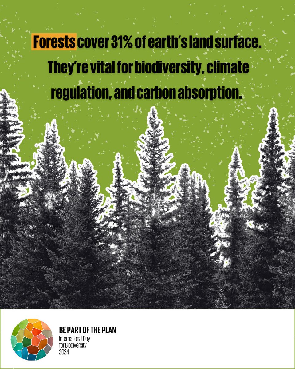 #DYK that forests cover 31% of earth’s land surface? They’re vital for biodiversity,climate regulation, & carbon absorption. Let’s pledge to protect & restore forests for a healthier planet🌳🌍 Join us for #BiodiversityDay on May 22 & every day! Together, we're all #PartOfThePlan