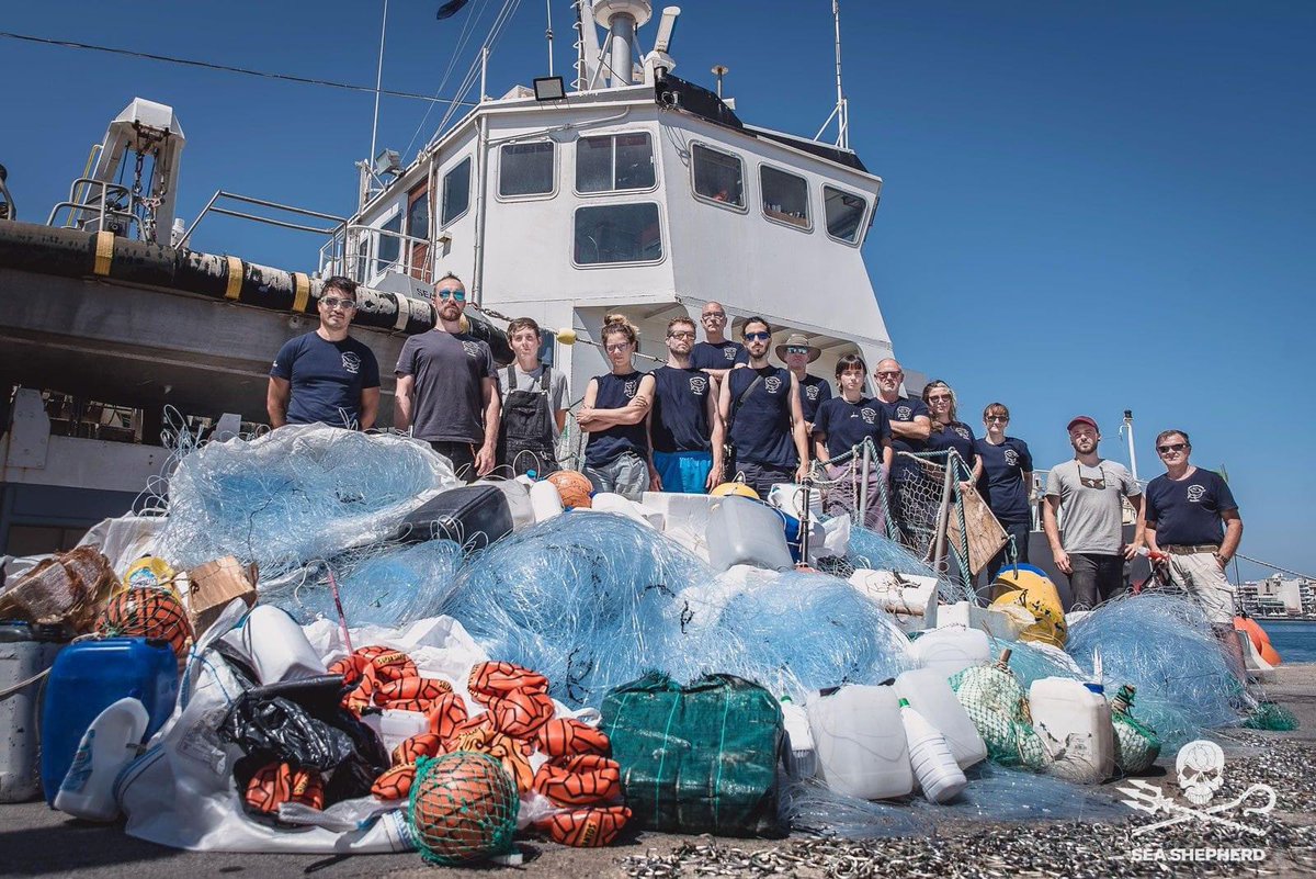 Sea Shepherd Italia tweet media