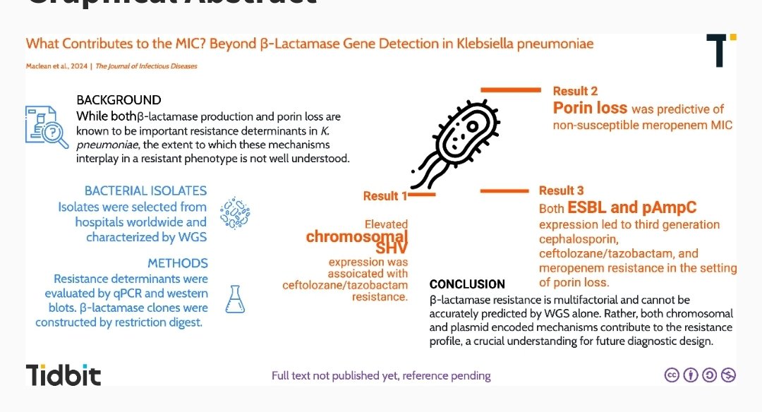 K. pneumoniae is capable of resistance to β-lactam antibiotics through expression of β-lactamases and downregulation of outer membrane porins 🆕️🔥Excellent article What Contributes to the MIC? Beyond β-Lactamase Gene Detection in Klebsiella pneumoniae academic.oup.com/jid/article/do…