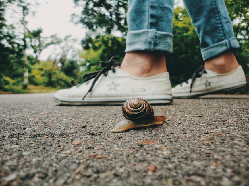 Slow your pace. 🐌 Slow down when facing objections. Pausing before responding and maintaining a calm pace builds trust and comfort. Don't let discomfort rush the conversation. 🛑✍️ #SalesTips #SlowDownSellMore