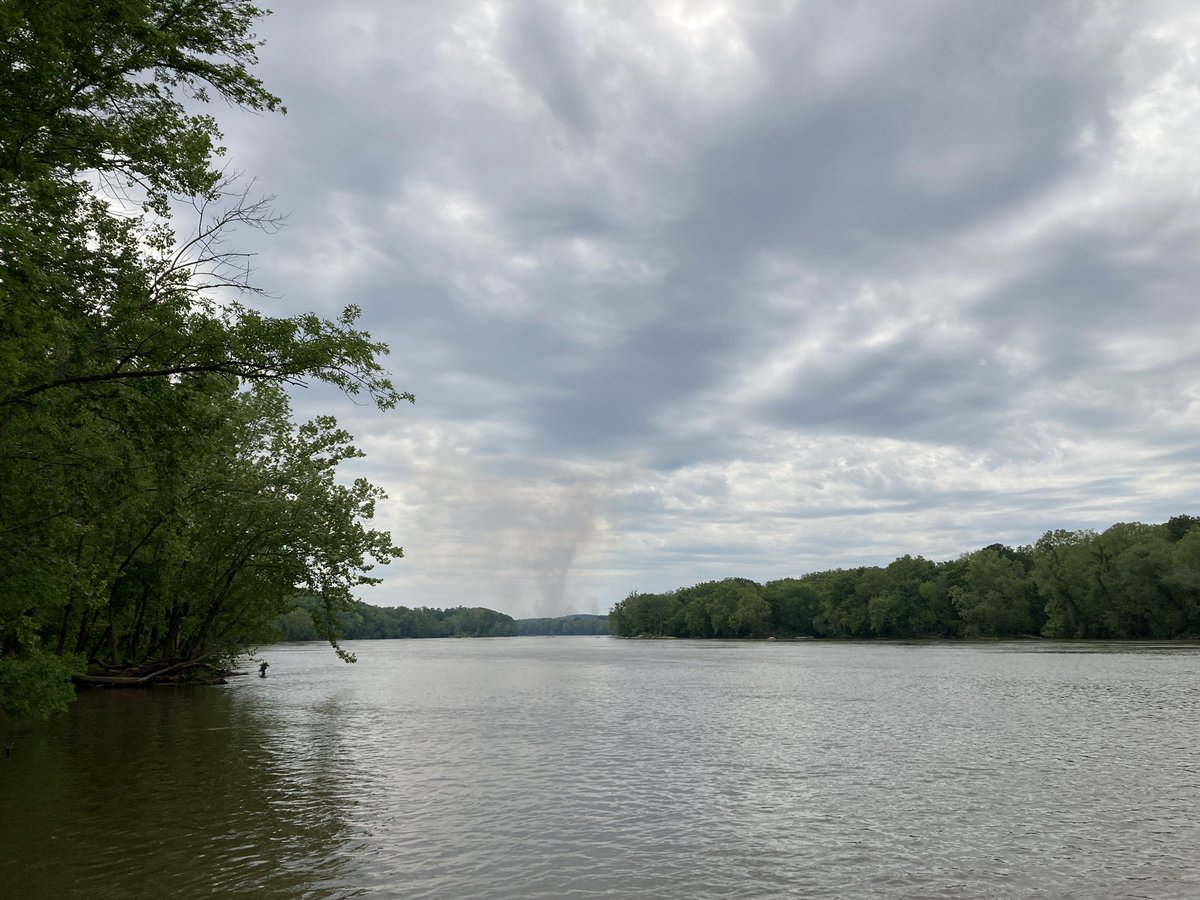 What a week! I spent two days sampling the Pee Dee River in southern NC where I got to help NC Wildlife Resources Commission biologists collect the iconic Robust Redhorse sucker. A species whose numbers are up due to a decade-long captive propagation conservation effort. 🟥🐴🐟