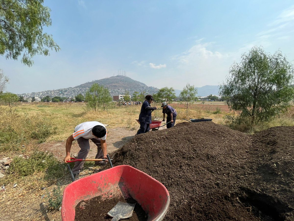 La @cps_ipn convocó alrededor de 150 #PolitécnicosDeCorazón de los Comités Ambientales de @UPIBIOFICIAL, @CIIEMADIPN, @Upiita_Ipn y #CMPL, quienes realizaron acciones de conservación de suelo para nutrir el arbolado del corredor ambiental que comparten esas unidades académicas.