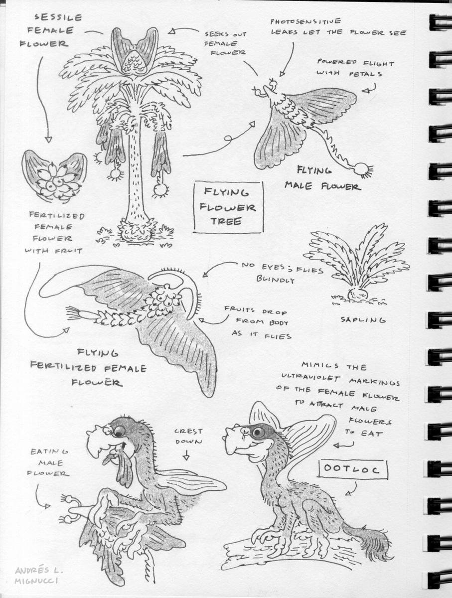 More sketches for that Flying Flower Tree. The male flower seeks out the ultraviolet markings of a sessile female flower using photosensitive appendages; when the female flower is fertilized, she herself flies off to drop the fruits.