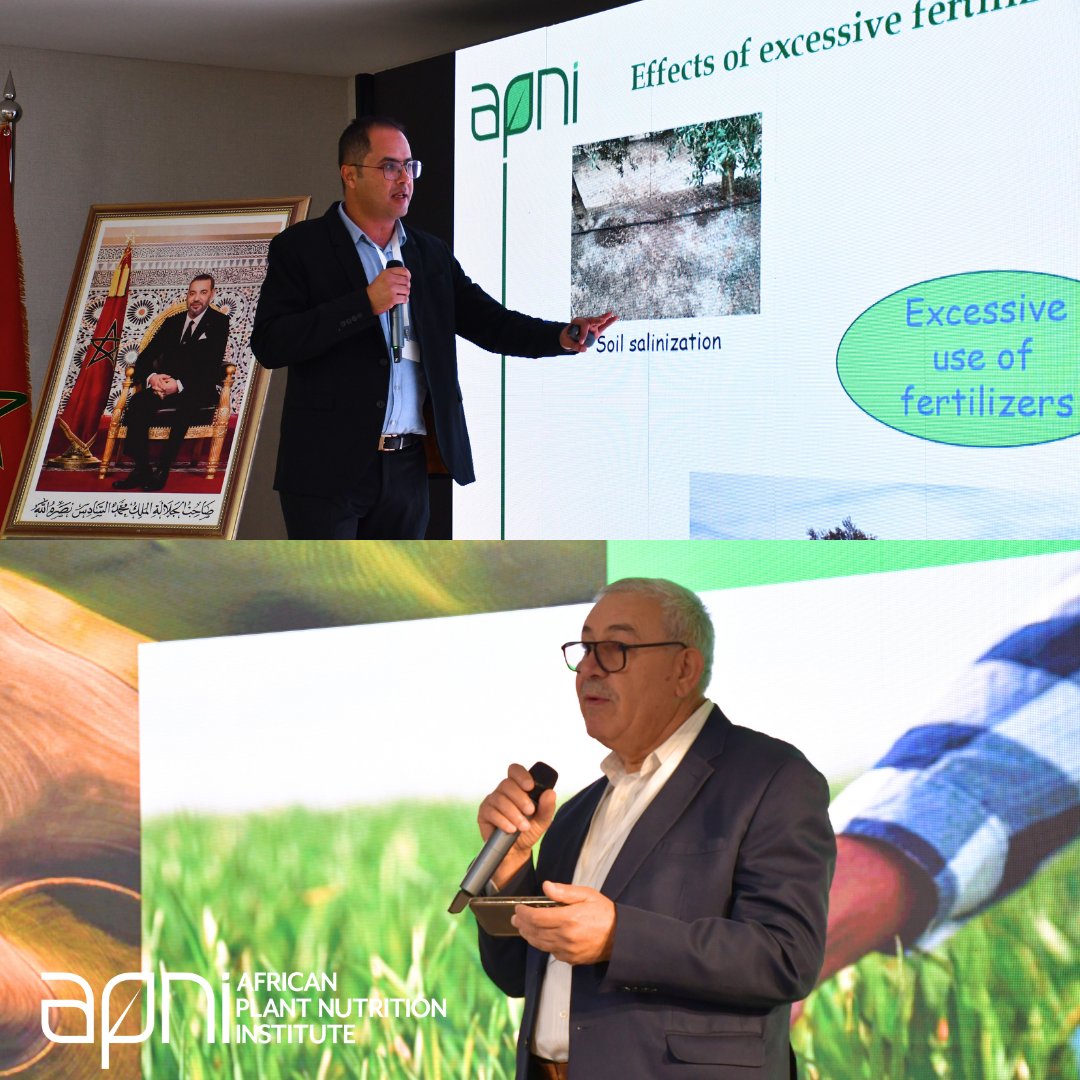 ☘️ Experience the insights gained from today's workshop at the International Agricultural Fair in Morocco (SIAM) in Meknes, where our scientists from APNI and AITTC shared their latest research and studies with representatives from various institutions. #SIAM #MoroccanAgriculture