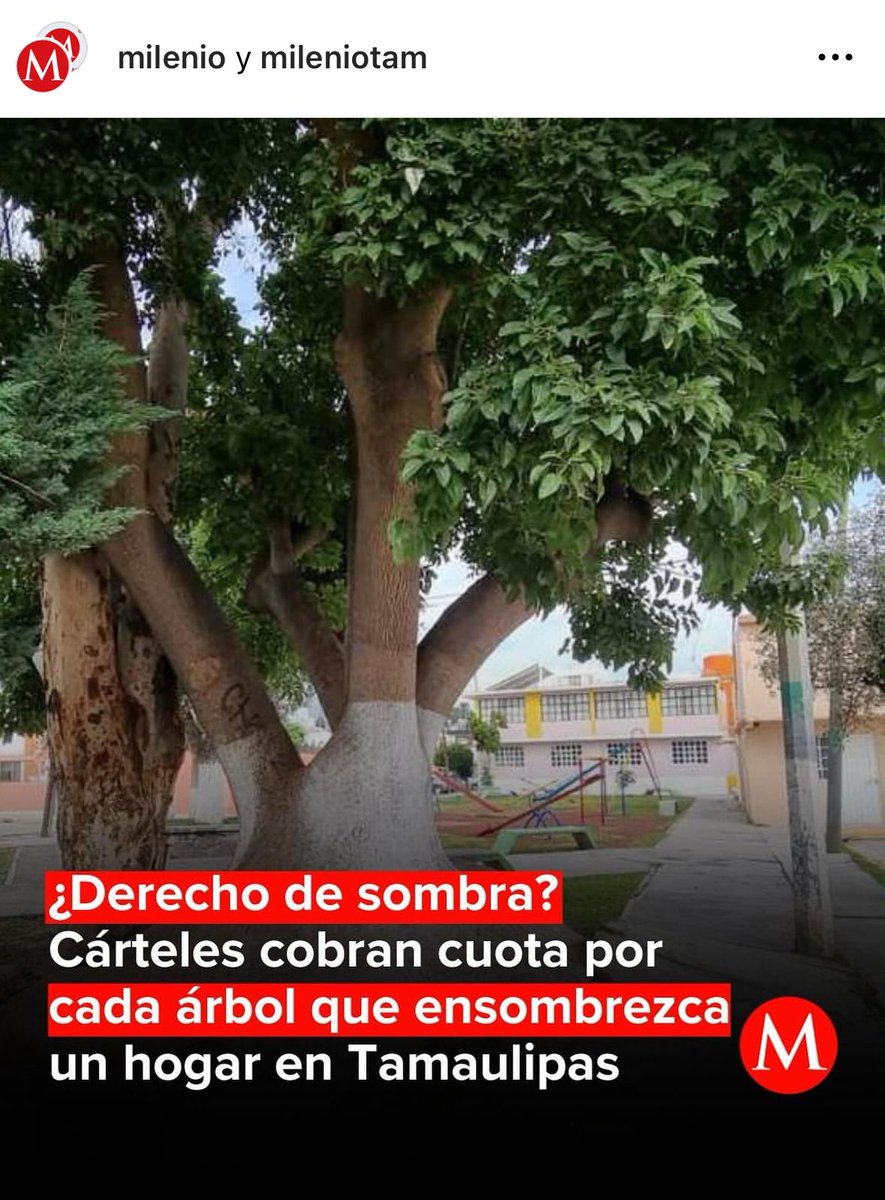 ¡Increíble pero cierto! En Tamaulipas, gobernado por Morena, si tienes un árbol, el CO te cobra 100 pesos por el 'derecho de sombra'. ¡Una extorsión descarada ante la vista ciega de las autoridades! El #NarcoGobierno de López Obrador ha fallado completamente en protegernos. ¡Es