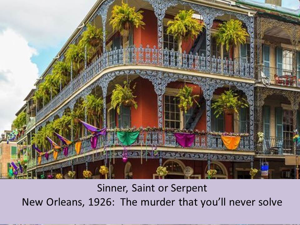 Sinner, Saint or Serpent
“Fast paced with plot twists bursting from every page.”
#mystery #cozymystery #jazzage
amazon.com/Sinner-Saint-S…
amazon.co.uk/Sinner-Saint-S…