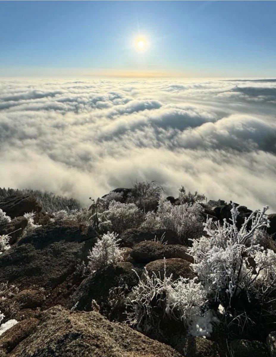 Sun rise over the fog, Scraggy Peak, Colorado !