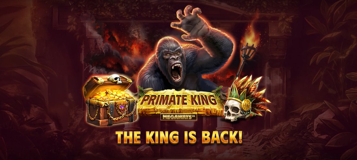 PlayerFortune's tweet image. New slots: Primate King from #RedTiger
Prize fund:10 000€
Terms:
Players who receive the 3 highest multipliers in Primate King Megaways during the promotion period will receive cash prizes.
#Tournament #PrimateKing #Newslots #GamblingTwitter #gambling
bit.ly/4diEArY