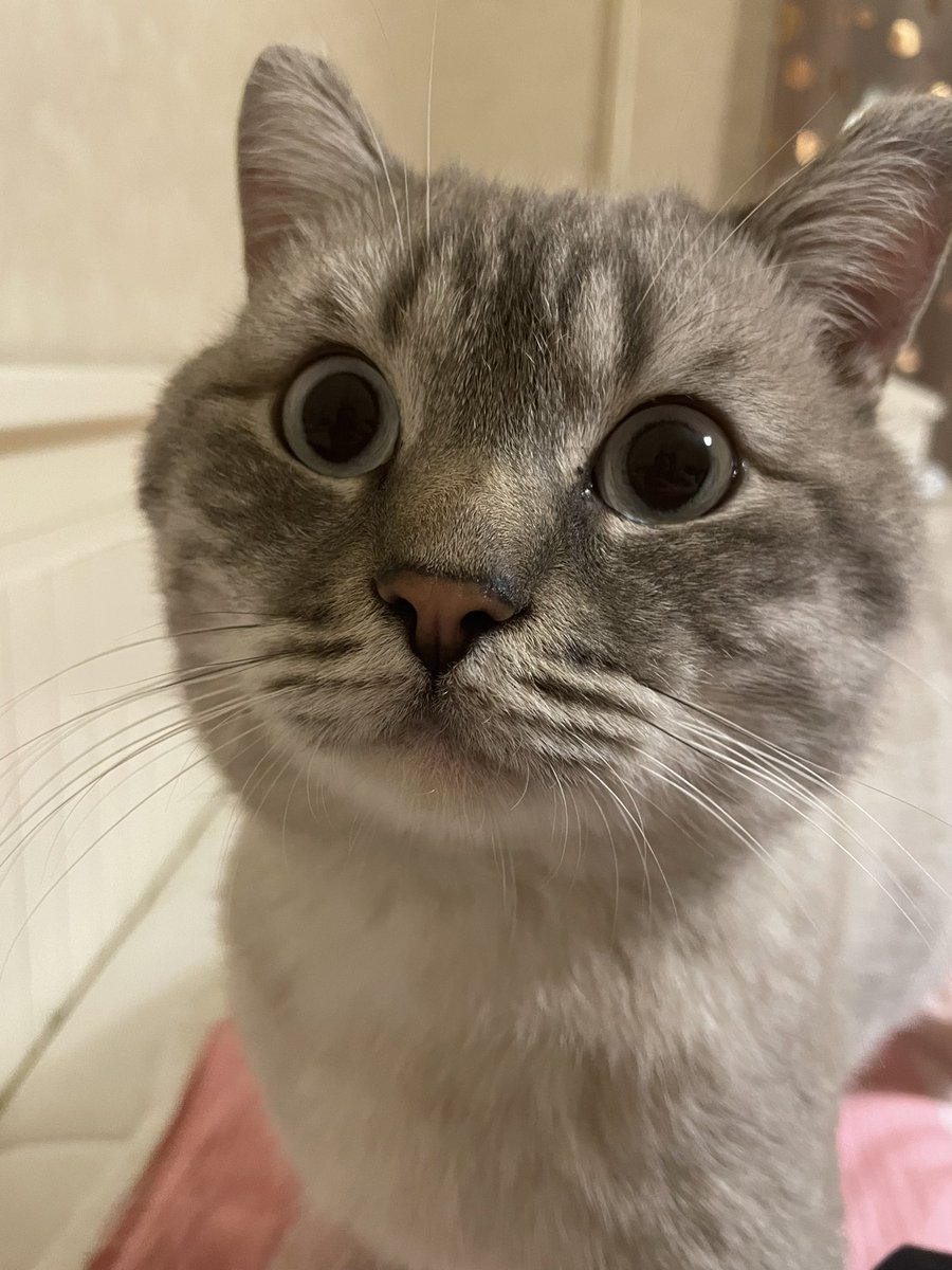 he’s scared of the rain outside