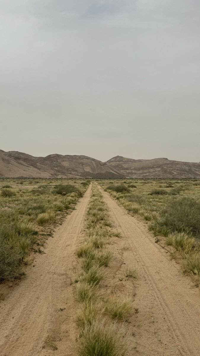 صورة اليوم ( جبله )

#القرين
#الدوادمي